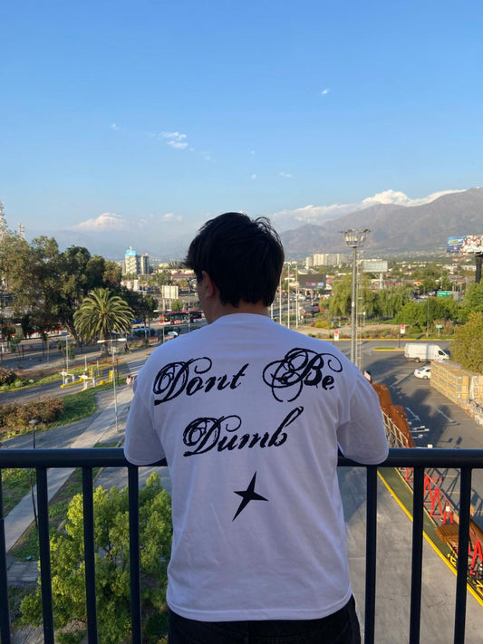 "Lions" Oferta Verano